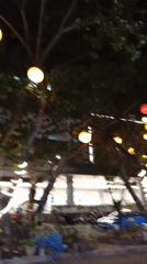 Decorated street trees illuminate nighttime scene in Davao City
