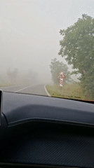 Morning fog creates poor visibility for drivers in Dunavtsi