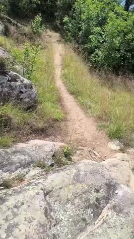 The video shows a person walking on a dirt path through a wooded, mountainous area. The path is narrow and winding, with grass and trees on either side. The sun is shining, and there are clouds in the sky. The camera is held at a low angle, giving the impression of being very close to the ground. The person is not visible in the frame, but the movement of the camera suggests that they are walking downhill.