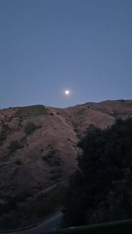 The video captures a view of a mountain landscape at twilight. A full moon is visible in the clear, pale blue sky, positioned above the crest of a rolling hill. The mountains are covered with dry, brown grass and sparse green bushes, suggesting a warm climate or a dry season. In the foreground, a dark green tree occupies the right side of the frame, partially obscuring the mountain. A road is visible in the lower left corner, curving away into the shadows. The overall atmosphere is serene and quiet, with the moonlight casting a soft glow on the landscape.