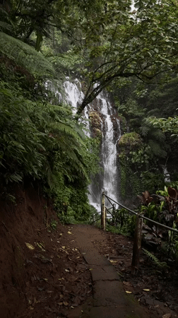 Tourist documents waterfall visit on forest trail in Sukasada