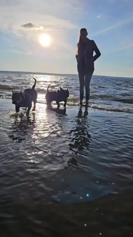 A woman stands in shallow water at the edge of a body of water, with two dogs near her. The sun is visible in the sky, casting reflections on the water's surface. One dog is to the left of the woman, splashing in the water. The second dog is in front of the woman, also in the water. The camera angle shifts from a wide shot to a closer, more dynamic perspective, rotating as it focuses on the dogs and the water. The scene appears to be a beach or shoreline.