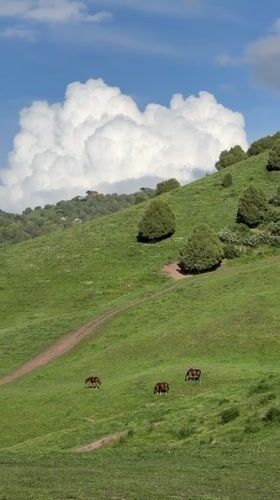 Morning retreat documented in Kyrgyzstan's scenic mountain landscape