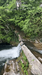 Forest waterfall documented by witnesses in 20-minute span