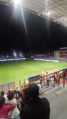 The video is shot at night from an elevated position within a stadium, likely a soccer or football venue, as evidenced by the expansive green field. The stadium is illuminated by bright overhead lights. A crowd of spectators is visible in the foreground, sitting on concrete steps, their backs mainly to the camera. They wear a variety of clothing, with some sporting team colors. A black archway stands on the field, which is likely for pre-game ceremonies or promotional activities. In the background, buildings and city lights dot the horizon. The camera remains relatively still, offering a steady view of the scene.