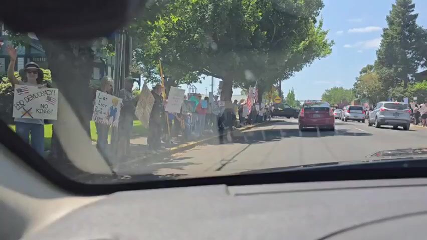 Here is a concise description of the video:

The video shows a protest from the perspective of someone driving by in a car. Along the side of the road, a group of people are holding signs. Some signs are critical of Donald Trump, with messages like "Liar, Liar, Pants on Fire," "Trump Hurts Vets," and "Deport Mad King Donald." Some protesters are also holding American flags. The day is sunny, with trees lining the street. There are cars in both directions of the road.