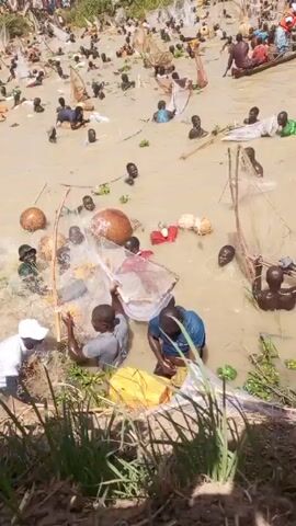The video shows a large group of people in a body of water, many of whom are partially submerged. The water appears murky and muddy. Most of the individuals are Black. They are holding or using nets, suggesting they are fishing or participating in some kind of water-based activity. Some are holding large clay pots or yellow containers that are floating on the water surface. A few are in small boats. The scene is crowded, with individuals spread throughout the water. On the bank, a crowd of people is watching. The weather appears sunny. The focus is on the individuals in the water, and the overall atmosphere seems lively and communal.