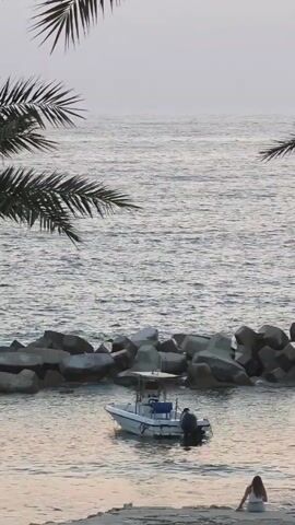 The video shows a calm body of water with a white boat anchored near a breakwater constructed of large concrete blocks. Palm fronds are visible in the foreground, framing the scene. In the lower right corner of the frame, a person, likely a woman based on her hair and attire, is seated on the sandy shore, facing the water. The water has gentle ripples, and the sky is hazy, suggesting it might be early morning or late evening.