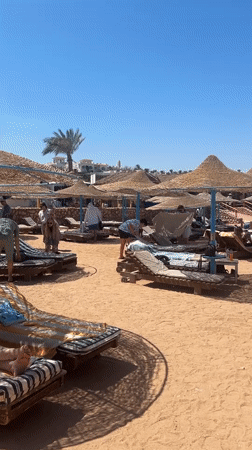 Sunny beach day at Sharm El Sheikh resort