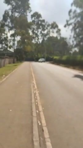 The video shows a grey sedan driving down a paved road in a residential area. Tall trees line the road on both sides. A sidewalk runs parallel to the road on the left side of the frame. There is a low brick wall and a grassy area to the left of the sidewalk. The sky is overcast.