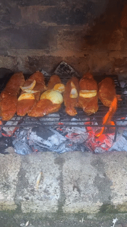 Outdoor brick fireplace cooking session with grilling meat