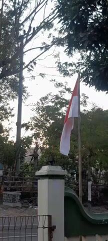 This video shows an Indonesian flag, which is red and white, blowing in the wind on a flagpole. The flag is partially obscured by trees, and the sky is overcast. There is a white pillar in the foreground, and a stone wall behind it. The scene appears to be outdoors, possibly in a rural or suburban setting. The lighting suggests it is either dawn or dusk. There are no people visible in the video.