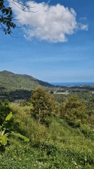 Tourist captures hillside views and parked scooter on Ko Samui