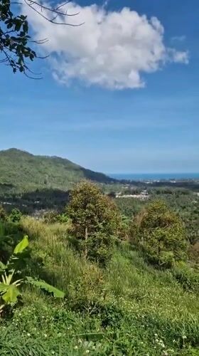 Tourist captures hillside views and parked scooter on Ko Samui
