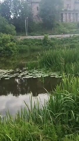 The media file shows a tranquil scene of a body of water, likely a river or pond, with lush green vegetation surrounding it. The water is filled with lily pads, and tall reeds or cattails grow along the edges. In the background, there are trees and what appears to be a building on a hill. The sky is overcast, suggesting a cloudy day. There are no people visible in the media. The overall atmosphere is peaceful and serene, with the reflections on the water adding to the calming effect. The setting appears to be a natural landscape with some man-made structures in the distance. The time of day is not clearly discernible due to the overcast sky, but it seems to be daytime. There is no visible text in the media file. The location is identified as Khmilnyk, Ukraine.
