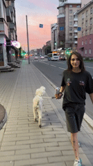 Evening dog walk through Krasnoyarsk at dusk