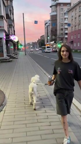 Evening dog walk through Krasnoyarsk at dusk