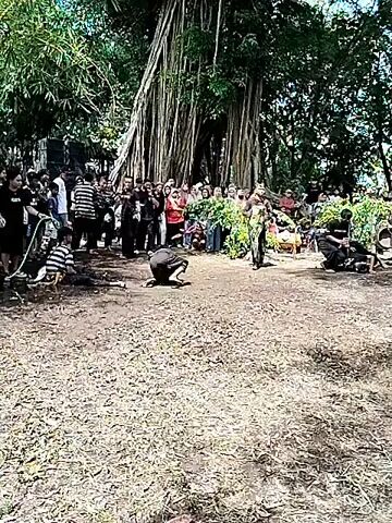 The video shows two men engaged in a fight performance in front of a crowd. The men are in a dirt-covered outdoor area under a large tree with exposed roots. The crowd is primarily composed of adults, many wearing black shirts or striped clothing. Some individuals are seated, while others stand, observing the fight. One of the fighters is wearing a green and yellow costume. The fighters are seen falling and maneuvering around each other. The camera remains mostly static, providing a wide view of the scene.