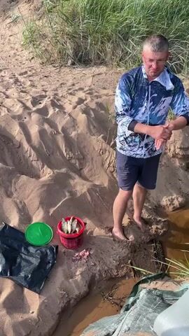 The video shows a man standing on a sandy bank next to a bucket of fish. The man is wearing a blue and white patterned long-sleeved shirt and dark shorts. He is looking down at the bucket. The bucket is red and contains several small fish. Next to the bucket is a green lid and some discarded fish guts. A black plastic bag is also on the sand. The bank appears to be near water, with tall grass visible in the background. The ground is sandy with some areas of mud and small divots.