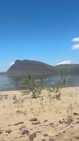 This is a vertical video of a sandy beach leading to a large body of water. In the distance, a large, layered mountain dominates the horizon under a clear blue sky with a few white clouds. The water is calm and reflects the sky. Several people are in the water, some appear to be swimming or wading, and there is at least one inflatable object. The beach is sparsely populated with dry grass and small stones. The foreground is a sandy slope with a few small green plants. The video is shot from a low angle.