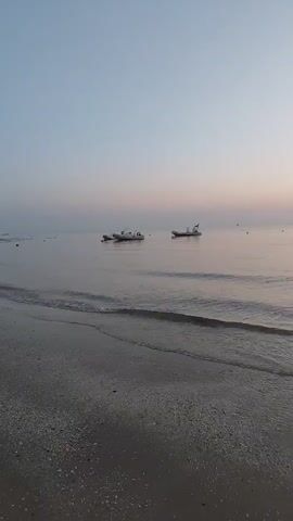 This is a video of a beach and the ocean at sunrise or sunset. Two boats are visible in the water. The sky is clear and blue with some pink and orange hues near the horizon. The waves are gently lapping at the shore, and the sand is covered in shells.