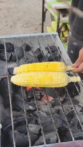 The video shows two ears of corn being grilled over hot coals. A person's hand is visible on the right side of the frame, holding one of the corn cobs. The corn is on a metal grill, and the coals underneath are glowing red. In the background, there is a blurry image of a cart with more corn cobs and some green foliage. The scene appears to be outdoors.