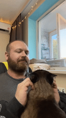 Man enjoys quiet moment with cat in Noviy, Russia
