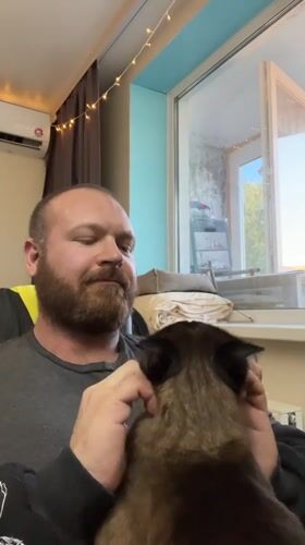 Man enjoys quiet moment with cat in Noviy, Russia