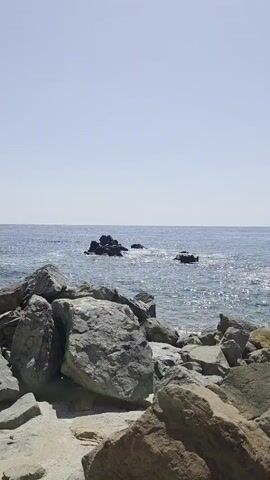 The video shows a rocky coastline with the ocean in the background. Large gray rocks are in the foreground, and smaller rocks are scattered along the shoreline. The ocean is blue with sparkling waves, and there are several dark rocks jutting out of the water in the middle ground. The sky is clear and pale blue, suggesting it is a sunny day. There are no people or animals visible in the video. The camera is stationary, and the footage is a still image.