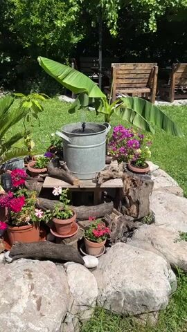 A sunny outdoor shot shows a small, decorative water feature in a garden, with a galvanized bucket serving as a basin for a solar-powered fountain. The bucket is placed on a wooden stand, which is surrounded by potted plants with pink and purple flowers, pieces of driftwood, and large light gray rocks. In the background, there's green grass, larger banana-like leaves from plants, and wooden garden furniture. The fountain emits a gentle stream of water.