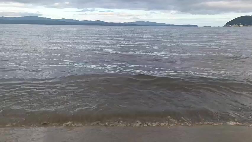 A low-angle video shows a calm body of water meeting a sandy shore. The water is a muted gray-blue and exhibits small ripples and gentle waves. In the distance, a hazy, mountainous coastline stretches across the horizon under a cloudy sky. The sky is a mix of gray and white clouds, suggesting an overcast day. The waves approach the shore and break softly, leaving a foamy white edge. No people or objects are visible in the scene.