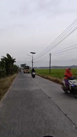 The video begins with a view from a motorcycle on a paved road. A yellow truck is visible in the distance, heading towards the camera. A rider on a black motorcycle is also on the road, ahead of the truck. As the camera continues forward, the yellow truck passes the rider on the black motorcycle. The road is bordered by a grassy field, which appears to be a rice paddy. Power lines stretch across the sky, supported by utility poles. The sky is overcast, suggesting a cloudy day. The video ends as the motorcycle continues down the road.