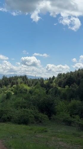 Spring morning landscape documented in rural Razliv, Bulgaria