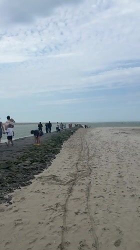 Berck, France