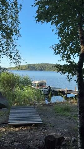 The video opens on a peaceful lake scene with a boat docked at a wooden pier. Tall reeds sway gently in the foreground, framing the view. A white motorboat with a cabin is tied to the pier, its outboard motor visible. The lake stretches out to a tree-covered hill in the distance under a clear blue sky. The camera slowly zooms in slightly on the boat and the water, highlighting the calm environment.