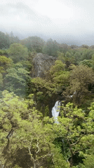 Morning nature documentation captured around Llanberis waterfalls and hillsides