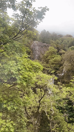 Morning nature documentation captured around Llanberis waterfalls and hillsides