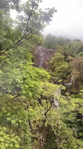The video shows a waterfall cascading down a rocky cliff surrounded by lush green trees. The sky is overcast, and the light is soft. There is some talking heard in the background. The camera angle is positioned to provide a wide view of the scene. The trees are full and create a dense canopy around the waterfall. The scene is a natural environment.