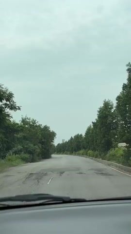 A POV shot from inside a vehicle shows a paved road winding through a landscape bordered by lush green trees. The sky is overcast with clouds. The road surface appears worn, with visible patches and cracks. The trees on both sides are dense and leafy, creating a tunnel-like effect as the vehicle progresses. In the distance, a few buildings are faintly visible above the tree line. The interior of the vehicle is partially visible in the foreground, including the dashboard and the edge of the windshield wipers. The overall impression is that of a journey through a rural or suburban area on a cloudy day.