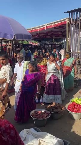 A group of people, mostly women in saris, are walking down a path lined with stalls. The stalls appear to be selling produce, with baskets of colorful fruits and vegetables visible. The path is crowded, and the people are moving in the same direction. The environment appears to be an outdoor market, possibly in India, given the attire of the people and the types of produce. The sun is shining, and the sky is clear.