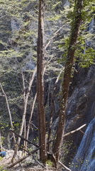 Waterfall documented at Bulgarian monastery amid spring foliage
