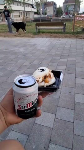 A first-person perspective video shows a hand holding a can of San Miguel Especial beer and a take-out container with a bao bun filled with fried seafood and a creamy sauce. The background features a paved area with a person and a large black dog in a grassy area. There are also benches and modern buildings in the distance. The video is a short, panning shot showing the food and drink with the park setting.