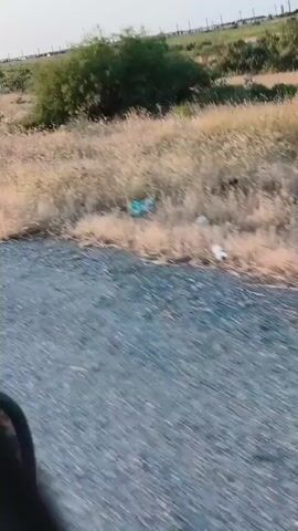 The video shows a blurry, fast-moving view of a rural landscape. The foreground is dominated by a gray, gravelly surface, likely a road or track. To the right and slightly ahead, dry, brown grass and brush are visible. Further in the background, there are scattered green bushes and trees, and beyond that, a field with some scattered vegetation. In the far distance, a series of tall, thin structures resembling power line pylons are visible against a light blue sky. The overall impression is one of rapid motion through a semi-arid or dry environment.
