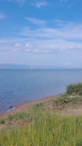 The video shows a vast body of water under a partly cloudy blue sky. The water's surface has gentle ripples. The shoreline is visible, with a strip of sandy beach meeting a grassy slope. Tall, green grass grows abundantly in the foreground, obscuring some of the lower portion of the scene. In the distance, faint mountain ranges can be seen along the horizon across the water. On the right side of the frame, further inland on the grassy hill, a small white structure, possibly a portable cabin or RV, is parked. The scene appears to be a natural landscape, possibly a lake or a large reservoir, on a clear day. There are no people or animals visible in the video.