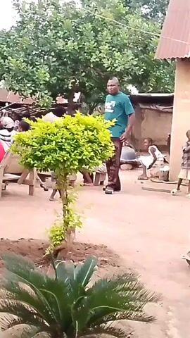 The video shows an outdoor scene in what appears to be a rural or village setting. A man in a green t-shirt and patterned trousers stands near a small, newly planted tree. He is facing left, with his right hand on his hip. Behind him, several people are seated on wooden benches. To the left of the scene, another man in a patterned shirt is standing near a motorcycle. In the background, there are buildings with corrugated metal roofs and trees. The ground is dirt. The overall atmosphere seems to be a gathering or event.