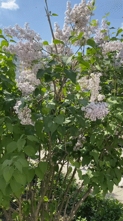 Spring day life documented across Khimki, Russia neighborhoods
