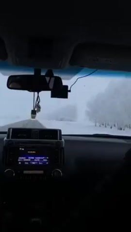 The interior of a vehicle is depicted as it travels on a road with snowy terrain on either side. A dashboard with radio controls and an overhead console that includes a rearview mirror, are visible in the foreground. On the road ahead is a snow-covered landscape featuring trees coated in what appears to be frost.