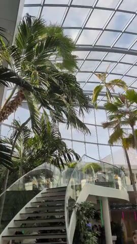 The video pans up and around an indoor tropical environment with palm trees and a large glass ceiling. A spiral staircase with glass railings is visible on the left, leading to different levels. People can be seen walking around and on the upper levels.