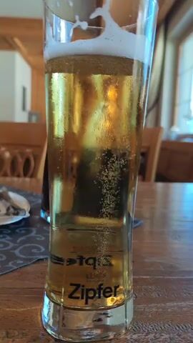 A close-up shot of a tall glass of beer with a foamy head sits on a wooden table. The beer is golden in color, and small bubbles are rising from the bottom of the glass. The glass is branded with the logo "Zipfer." In the background, wooden chairs and a window with natural light are visible, suggesting an indoor setting.