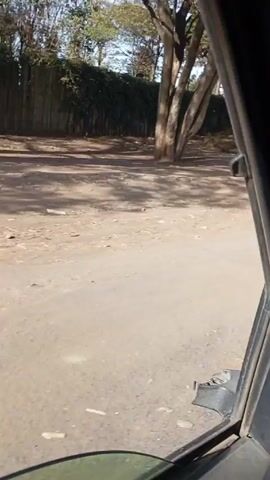 The video shows a view from inside a vehicle driving on a dirt road. On the side of the road, there are trees, a green hedge, and a dirt embankment with a sign visible behind it. The sign says “ALFORD HOPE ACADEMY NURSERY & PRIMARY SCHOOL." The sky is blue with some clouds. The video is shaky.